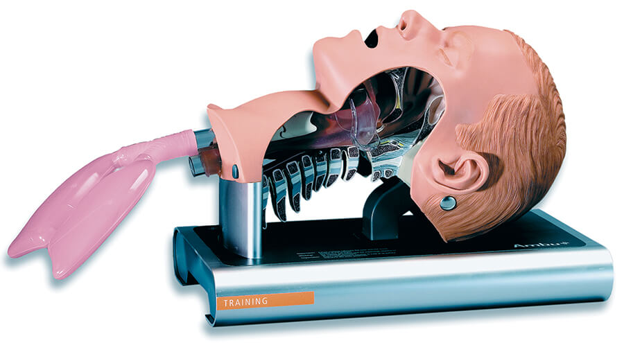 AMBU Intubationstrainer Erwachsene