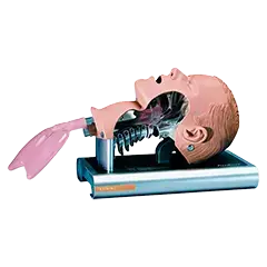 AMBU Intubationstrainer Erwachsene