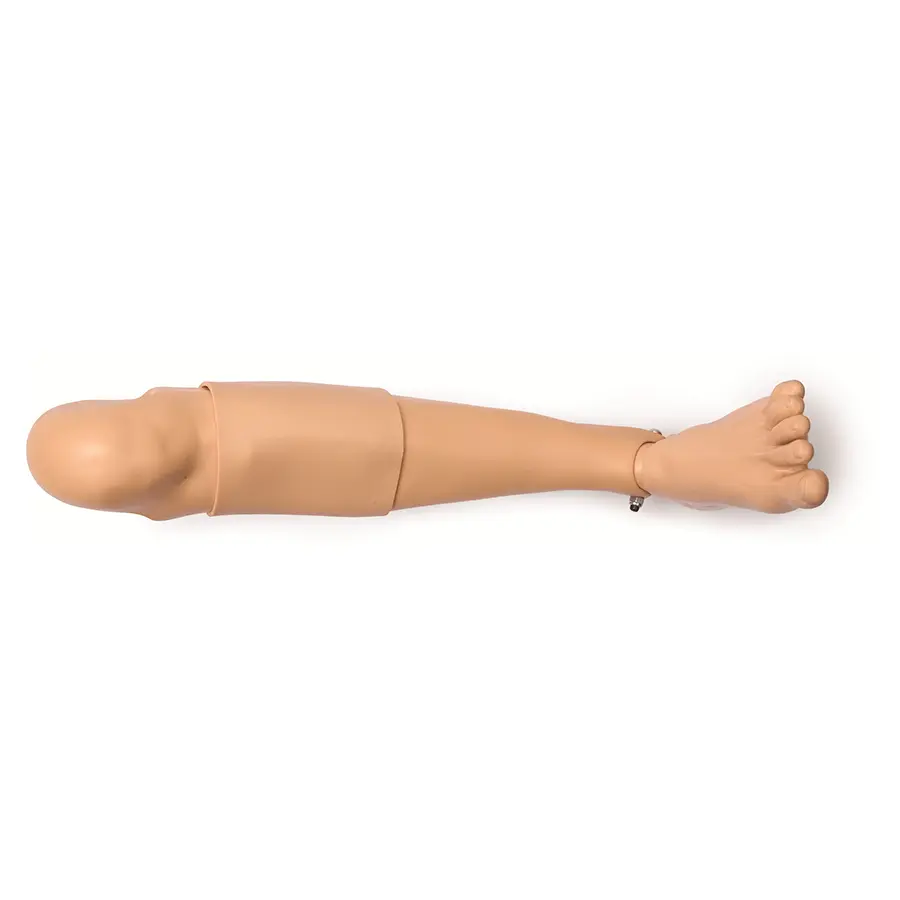 Intraossär Bein Erwachsene Laerdal