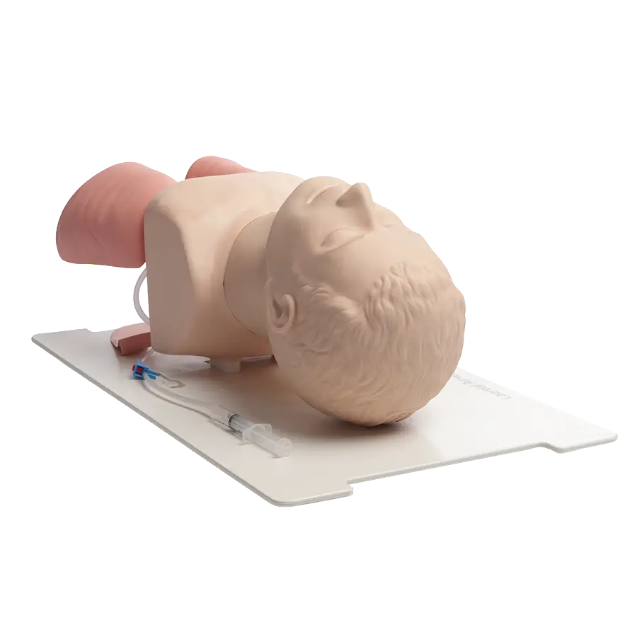 Intubationstrainer Airway Management Trainer Erwachsene Laerdal