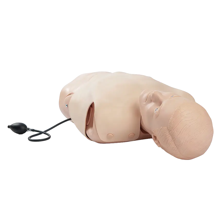 Pneumothorax-Trainer komplett